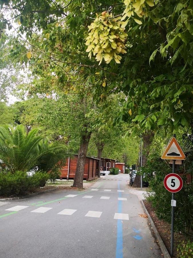 Campeggio Italia Marina di Massa Exterior photo